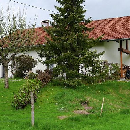 Cosy Apartment In Allg U With Garden Oy-Mittelberg Dış mekan fotoğraf